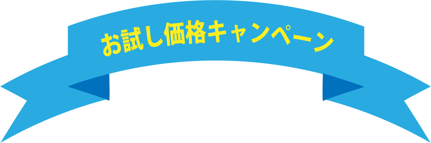 お試し価格キャンペーン